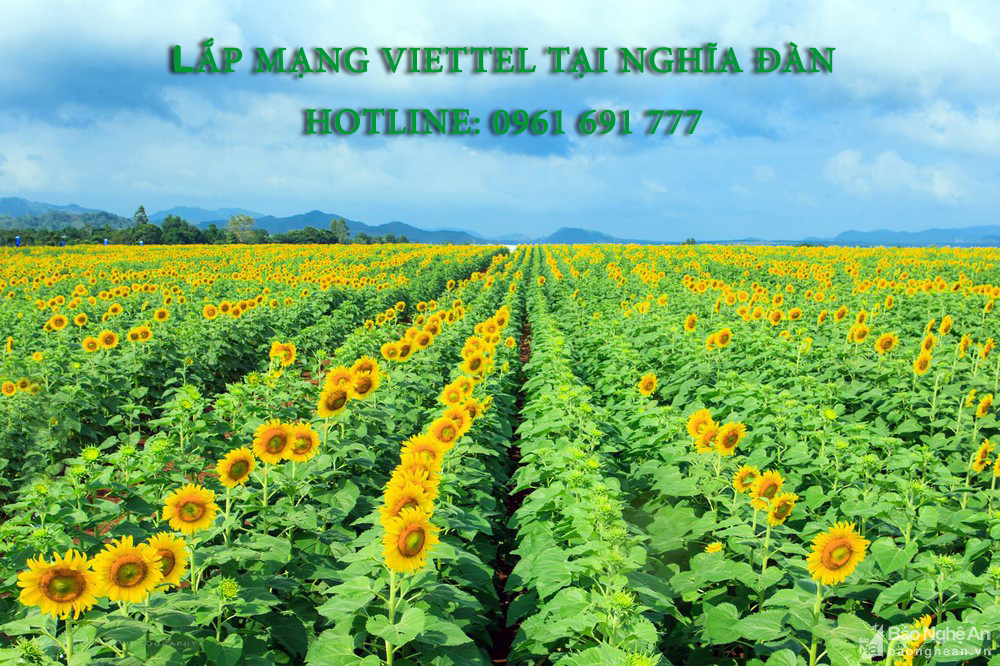 Lắp mạng viette tại Nghĩa Đàn - Viettel Telecom Nghệ An - Hotline: 0961 691 777